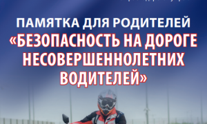 Безопасность на дороге