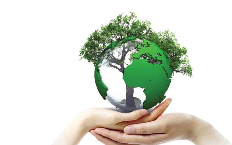 Экологический конкурс - акция  «Сдай макулатуру – спаси дерево»